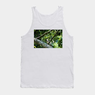 Blue Jay Looking Up Tank Top